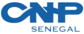 Logo CNP