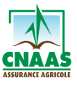 CNAAS